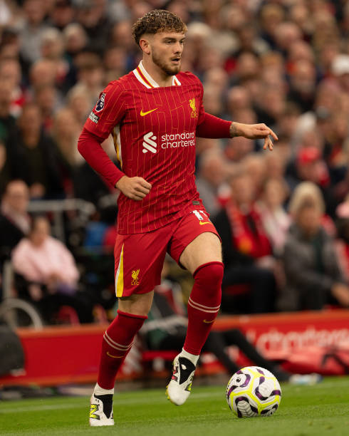 已有一定的 已有一定的