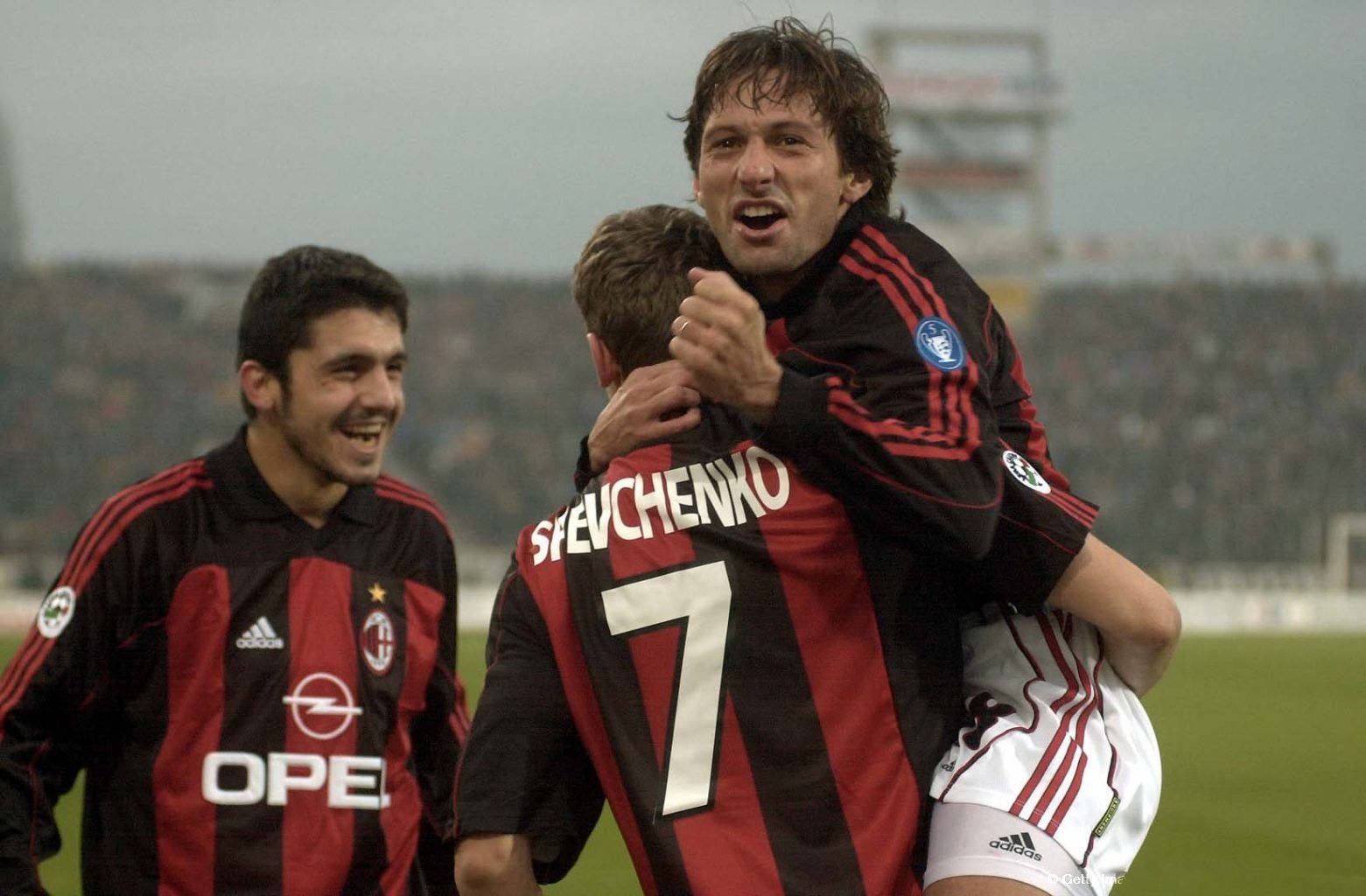 锋能够成为 锋能够成为